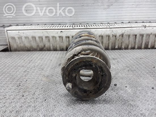 Volkswagen PASSAT B6 Rear coil spring