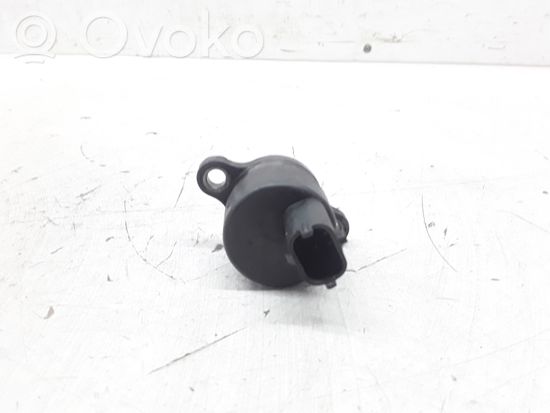 BMW 5 E39 Fuel pressure regulator 0281002480