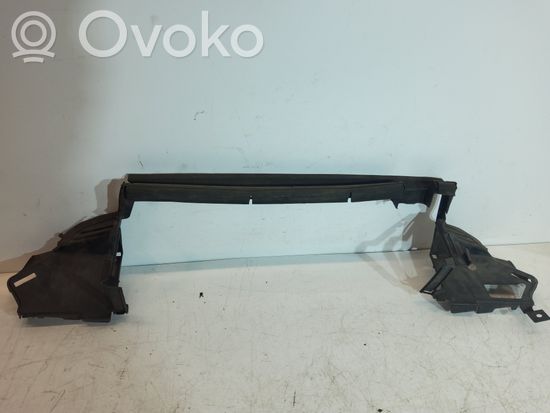 Mercedes-Benz CLS C219 Radiator support slam panel