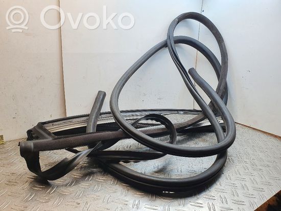 BMW 3 E46 Front door rubber seal
