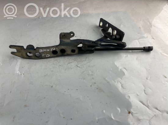 BMW 5 E39 Engine bonnet/hood hinges 51238174866
