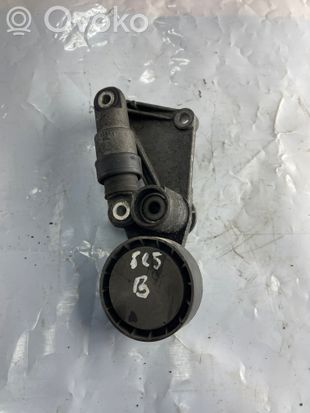 BMW 5 E39 Alternator belt tensioner 17173729 F2106862 2106862