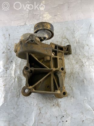 BMW 3 E46 Generator/alternator belt tensioner 2260082