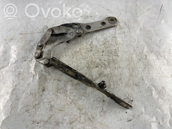 BMW 3 E46 Engine bonnet/hood hinges 41618200124
