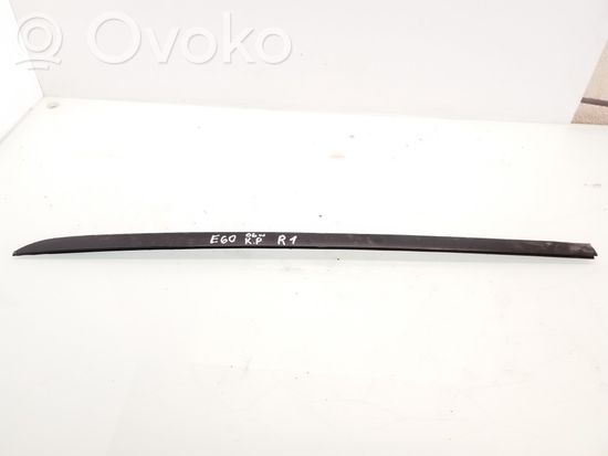 BMW 5 E60 E61 Front door glass trim molding