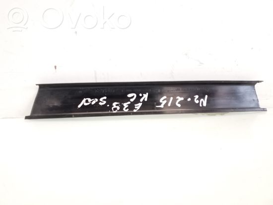 BMW 5 E39 Rear door glass trim molding 51348159881
