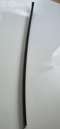 Volkswagen PASSAT B7 Windshield trim