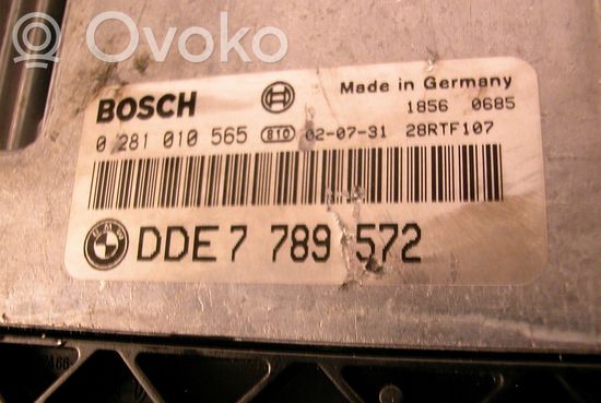 BMW 3 E46 Engine control unit/module 0281010565 7789572
