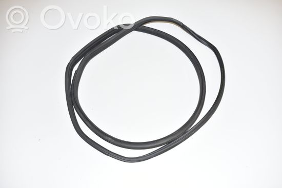 BMW i3 Front door rubber seal 7301742