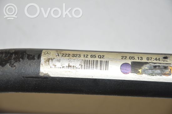 Mercedes-Benz S W220 Front anti-roll bar/sway bar A2223231265