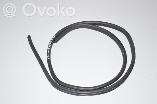 BMW 3 E90 E91 Rubber seal rear door 7247259