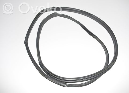 BMW i3 Front door rubber seal 4A04477