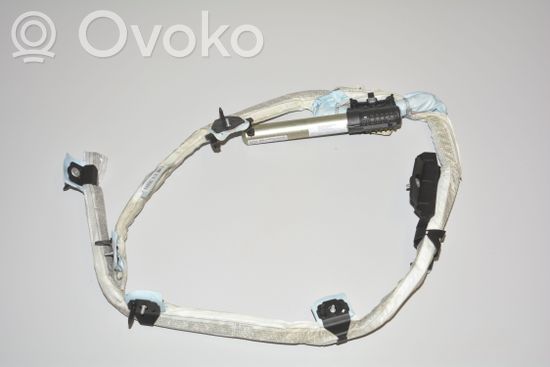 BMW 1 E81 E87 Roof airbag 6956483