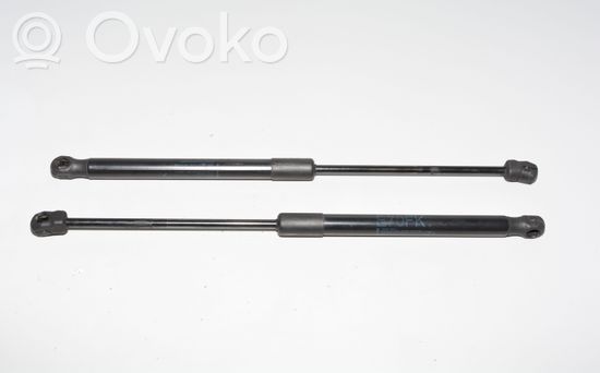 BMW X6 E71 E72 Front bonnet/hood damper/strut 7148346