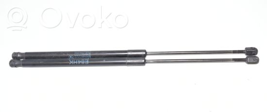 BMW X1 E84 Tailgate/trunk strut/damper 2990136