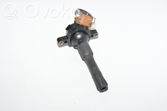 BMW X5 E53 High voltage ignition coil 1748017