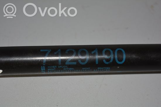 BMW 3 E90 E91 Front bonnet/hood damper/strut 7129190