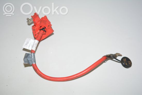BMW 3 E92 E93 Positive cable (battery) 9217031 9217030