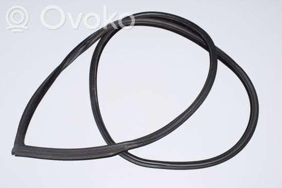 BMW 3 E92 E93 Front door rubber seal 7119091