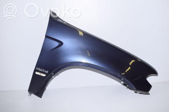 BMW X5 E53 Fender