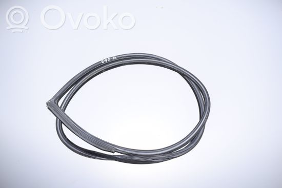 BMW 3 E92 E93 Front door rubber seal 7119091