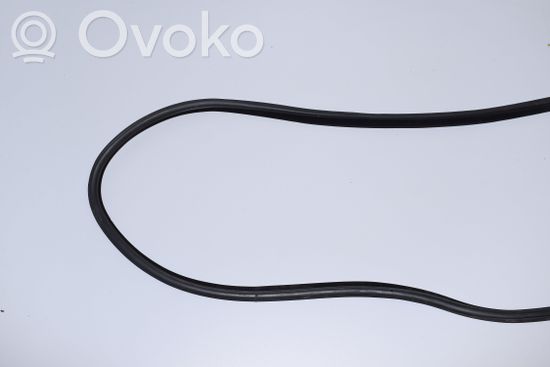 BMW 3 E92 E93 Front door rubber seal 7119091