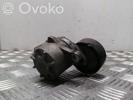 Mercedes-Benz Sprinter W906 Generator/alternator belt tensioner A6462000270
