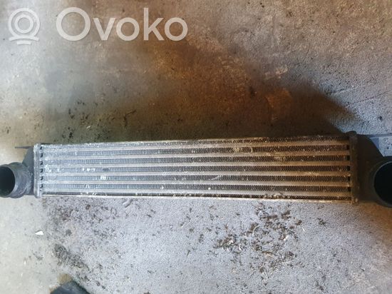 BMW 5 E39 Intercooler radiator