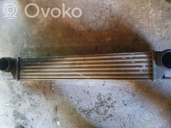 BMW 5 E39 Intercooler radiator