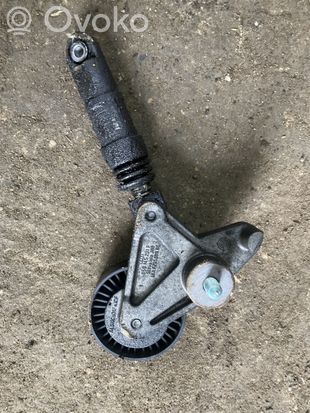 Audi A6 S6 C6 4F Alternator belt tensioner