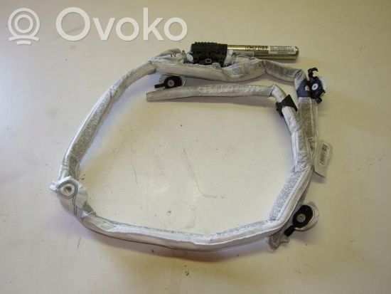 BMW 1 E81 E87 Roof airbag