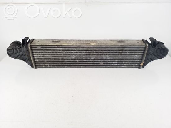 Mercedes-Benz E C207 W207 Intercooler radiator A2045000200