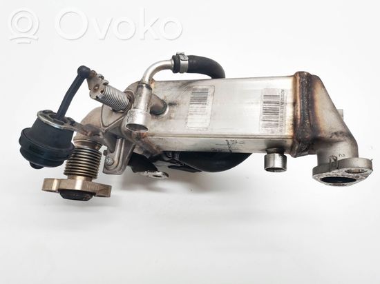 BMW 1 E81 E87 EGR valve 7810166
