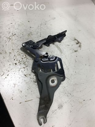 BMW X5 E70 Engine bonnet/hood hinges 7148348