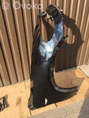 BMW X5 E70 Fender