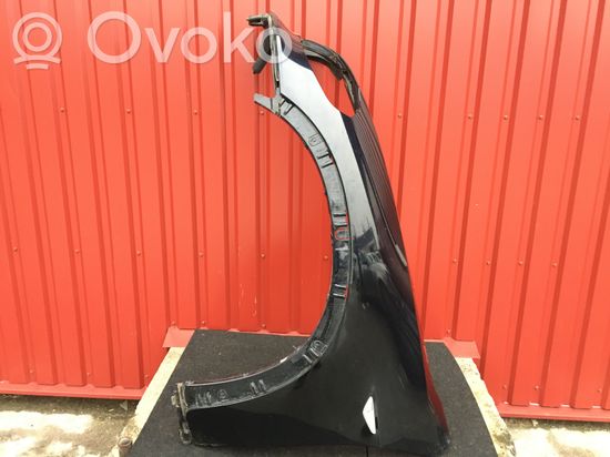 BMW X5 E70 Fender