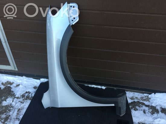 Volkswagen Passat Alltrack Fender