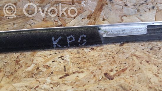 BMW 7 E65 E66 Rear door glass trim molding