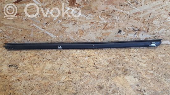 BMW 7 E65 E66 Rubber seal front door window/glass