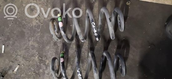 Audi A6 S6 C6 4F Front coil spring