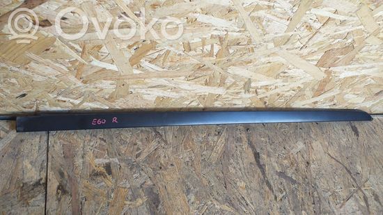 BMW 5 E60 E61 Windshield trim