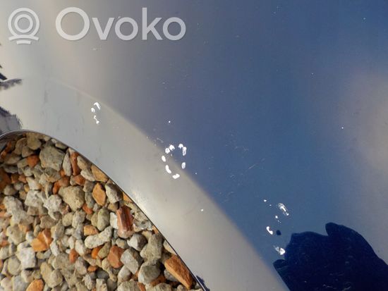 Volkswagen Golf VII Fender