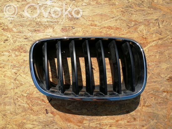 BMW X5 E70 Front grill