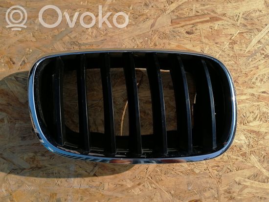 BMW X5 E70 Front grill