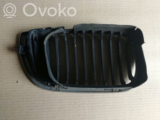 BMW 3 E46 Front grill
