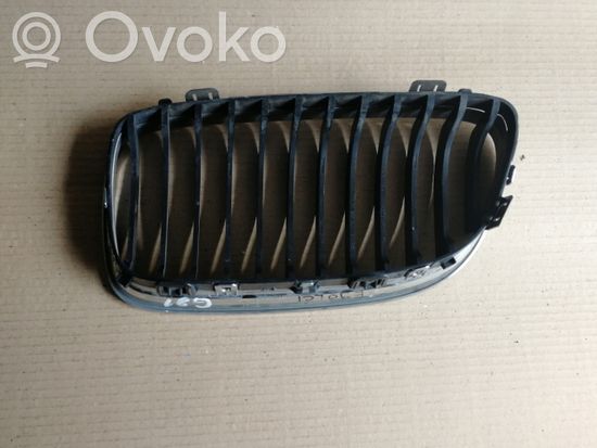 BMW 3 E90 E91 Front grill