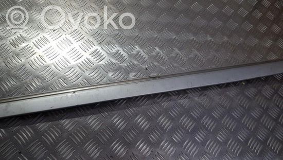 Mercedes-Benz C W203 Front door trim (molding) a2036904962 a2036904962