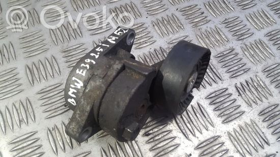 BMW 5 E39 Generator/alternator belt tensioner