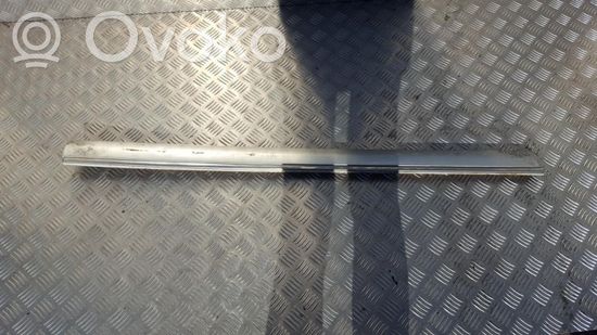 Mercedes-Benz E W210 Front door trim (molding) A2106900362 A2106900362