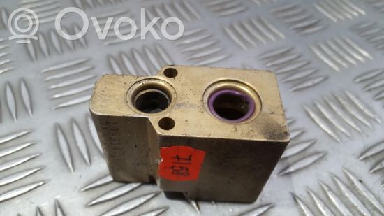 Volkswagen Polo III 6N 6N2 6NF Air conditioning (A/C) expansion valve 52114790 1999147 52114790 1999147